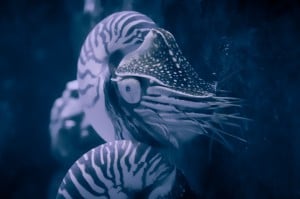 Ocean Park: Grand Aquarium