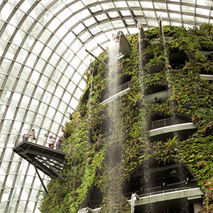 Gardens by the Bay – Cloud Forest blog_GB_CF