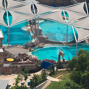 Marine Life Park – dolphins from the air blog_MLPairD1