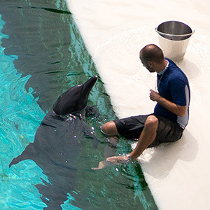 Adventure Cove Waterpark – 2013 photo update