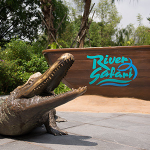 River Safari – review