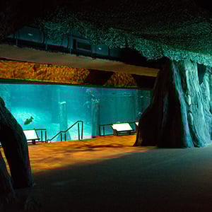 River Safari: Amazon Flooded Forest blog_RS07