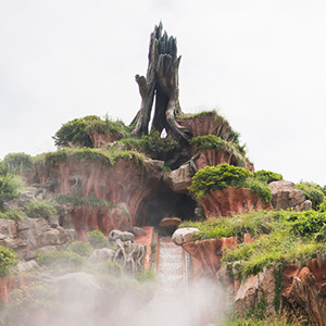 blog_TDL_Splash