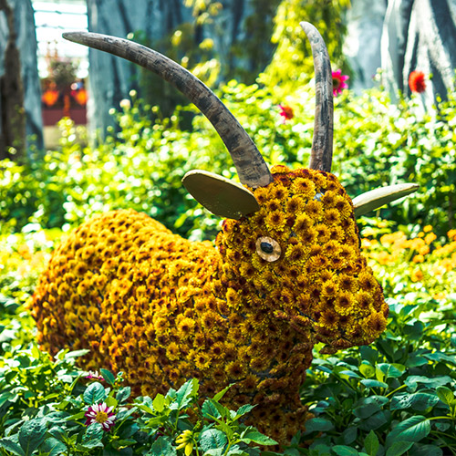 Gardens by the Bay – Asian Tales
