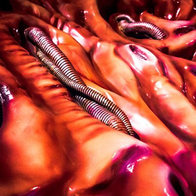 BSC_2resin