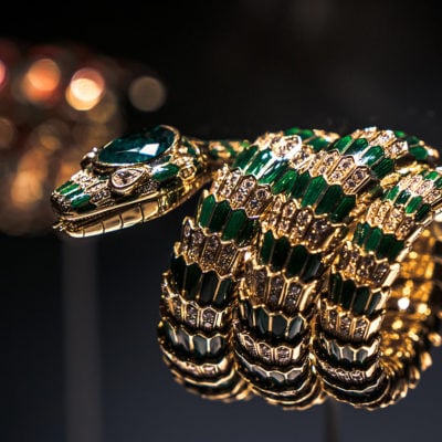 MBS_Serpenti