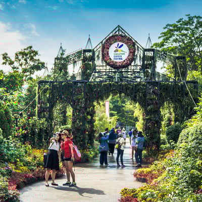 Singapore Garden Festival 2018 GB_1807_SGF2018B_sq