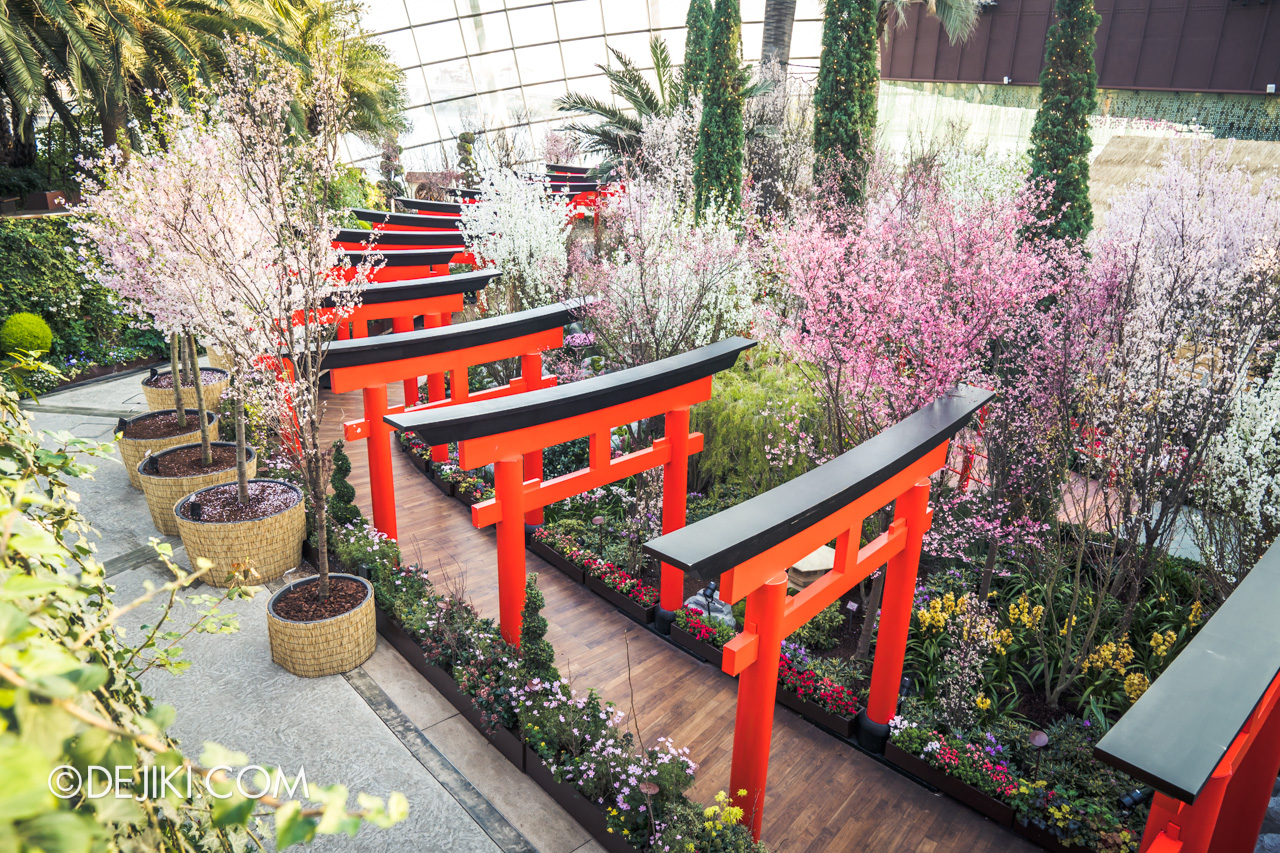 Gardens by the Bay Singapore Sakura Matsuri 2019 - Tori Gates