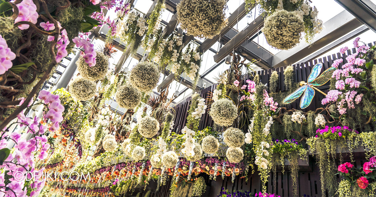 Floral Fantasy at Gardens by the Bay Reopens with Vibrant Blooms – BYKidO