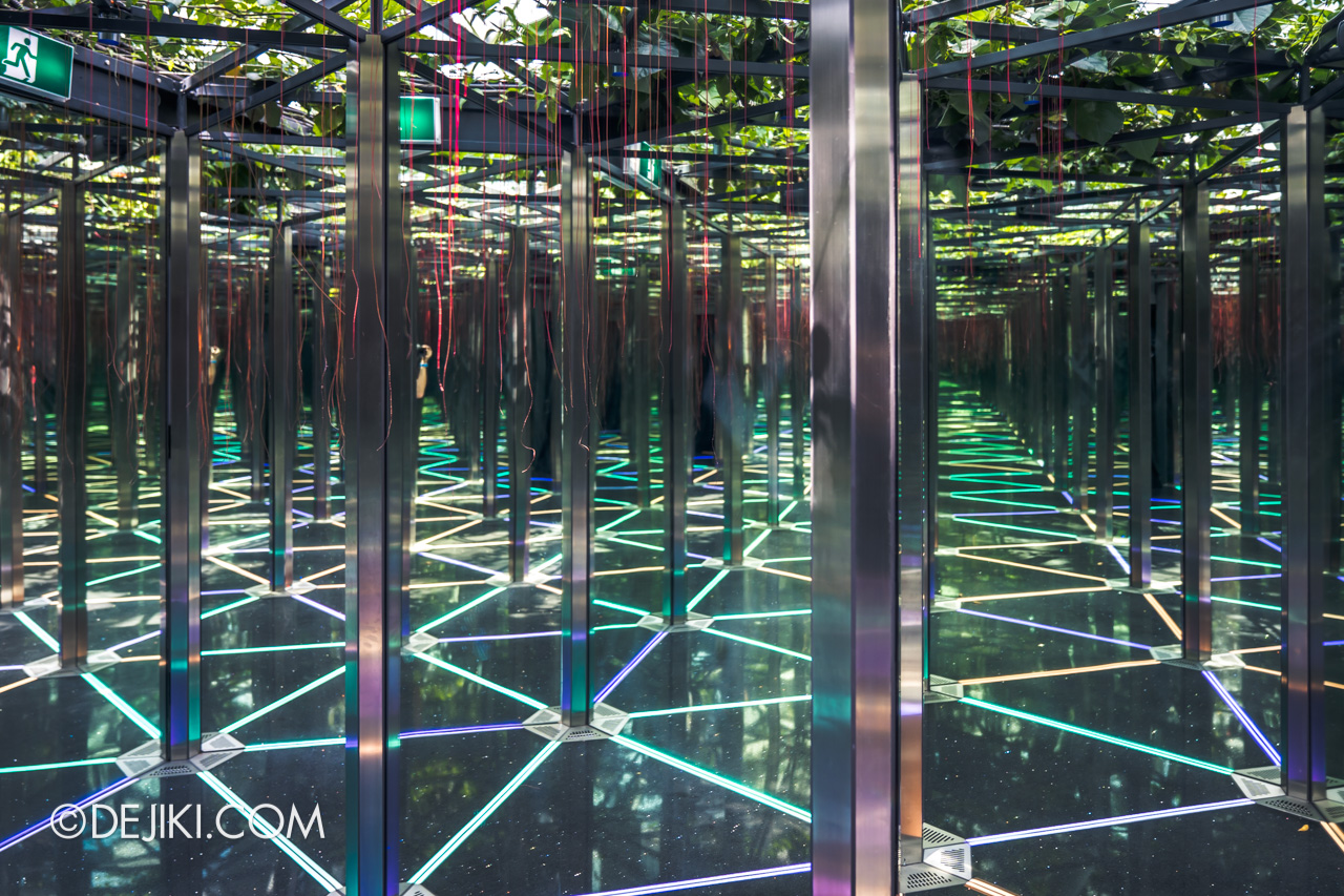 Jewel Changi Airport - Canopy Park 7 - Mirror maze endless