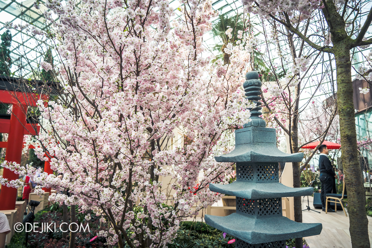 Gardens by the Bay Sakura Matsuri 2020 Flower Field lush junction pagoda