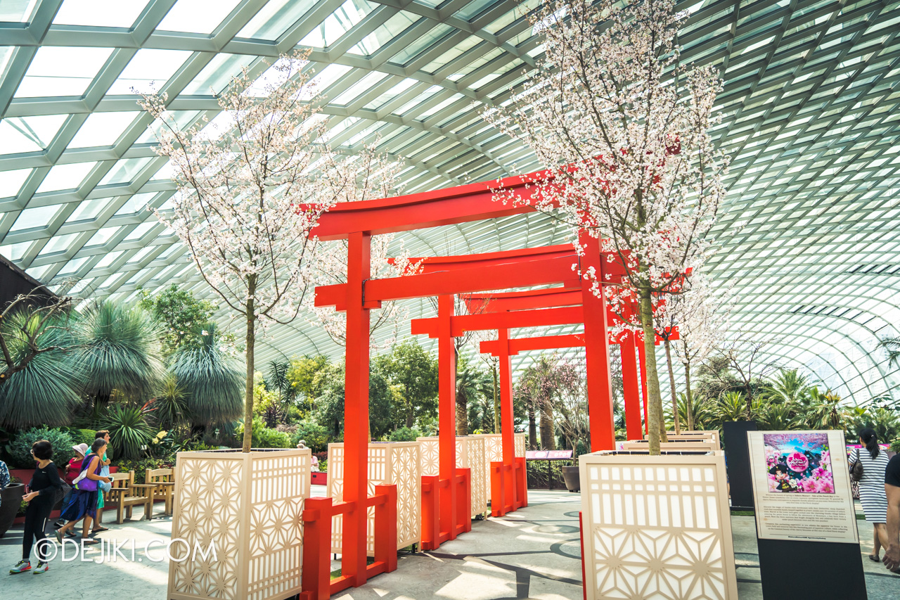Gardens by the Bay Sakura Matsuri 2020 Upper Level Tori Gates display