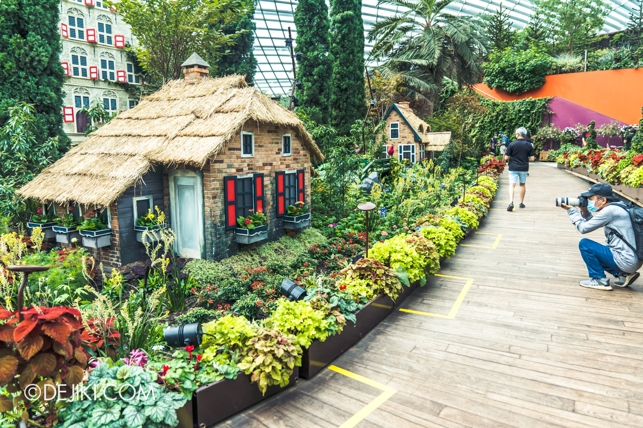 photo-tour-gardens-by-the-bay-s-reopened-flower-dome-dejiki