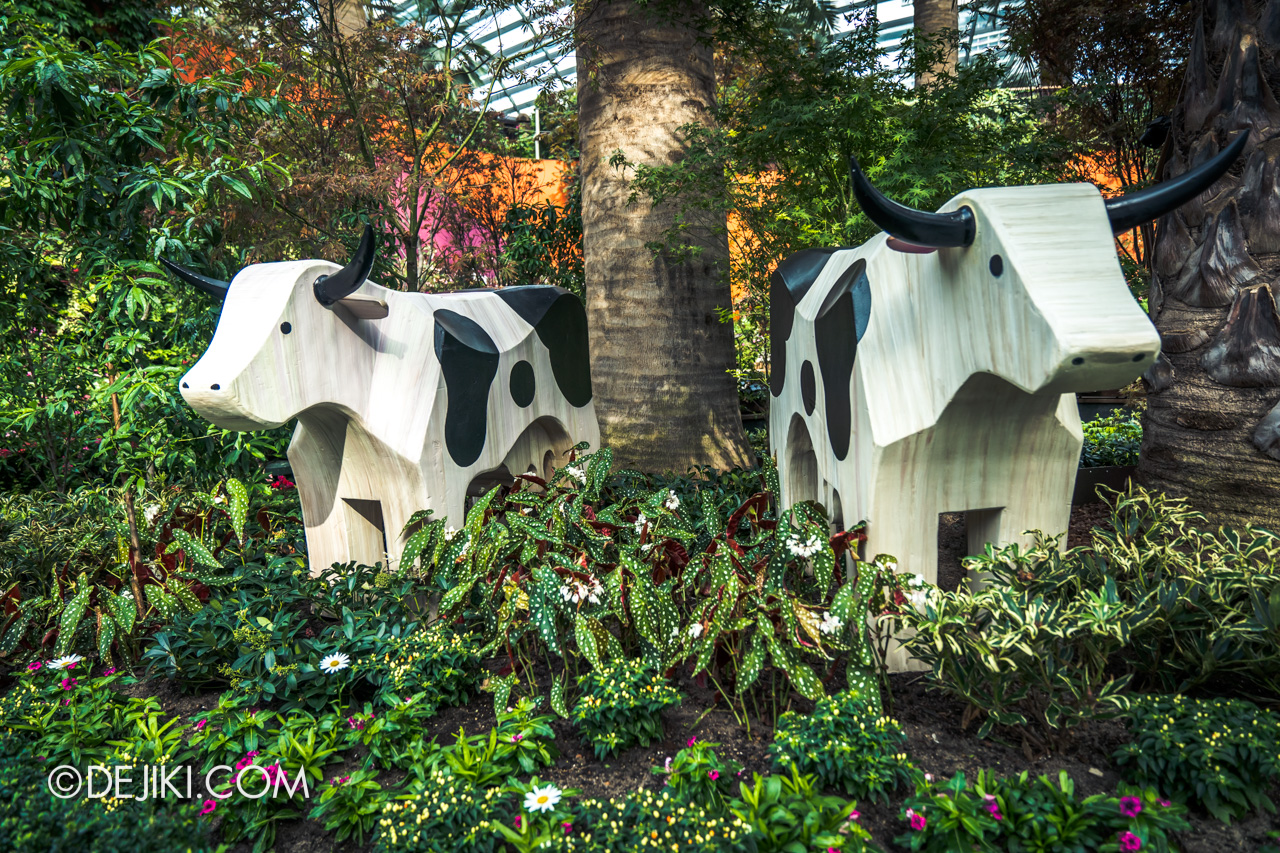 Gardens by the Bay Reopens July 2020 Flower Dome Field cows