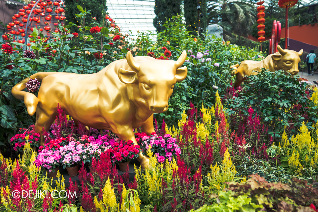 Gardens by the Bay 2021 Dahlia Dreams 4 Flower Field golden ox among celosia