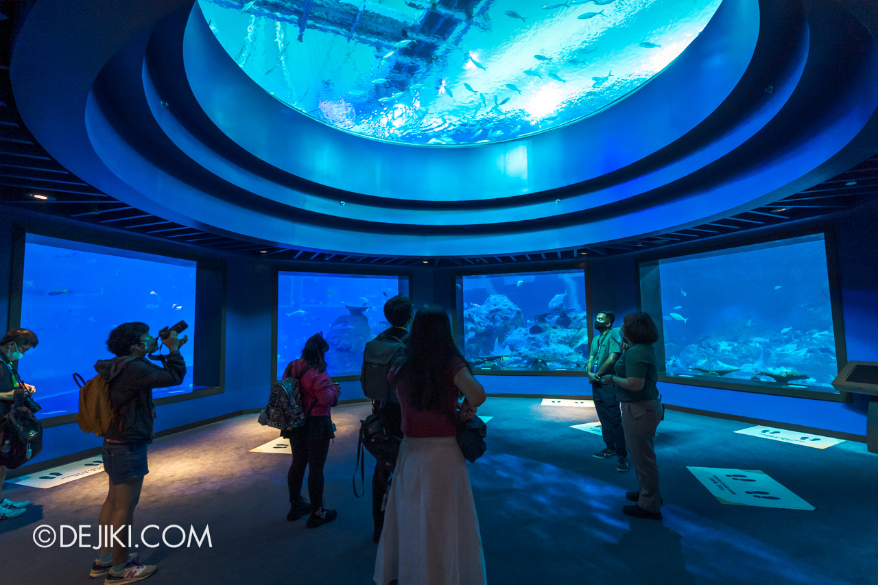 SEA Aquarium 2021 4 Open Ocean Dome
