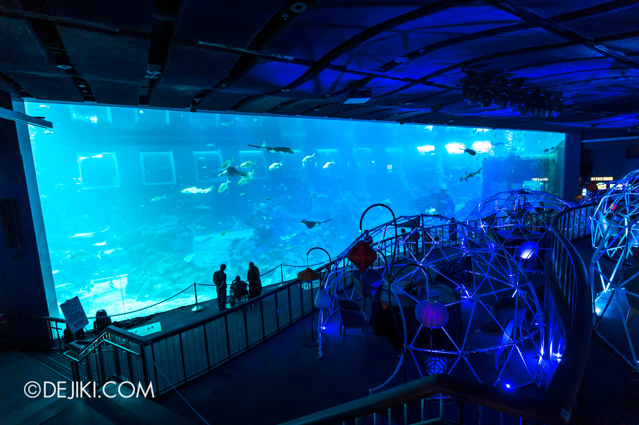 SEA Aquarium 2021 4 Open Ocean