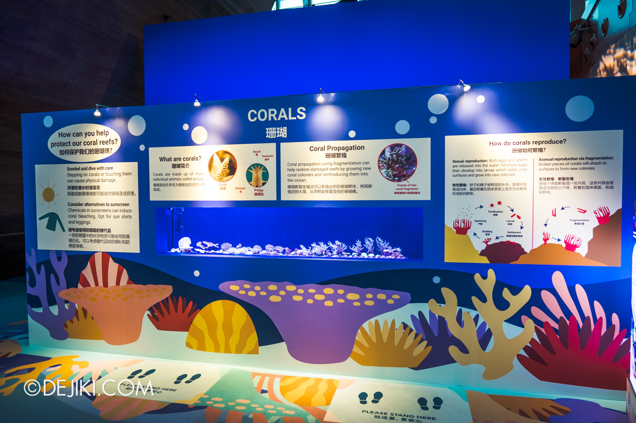 SEA Aquarium 2021 8 Coral Conservation