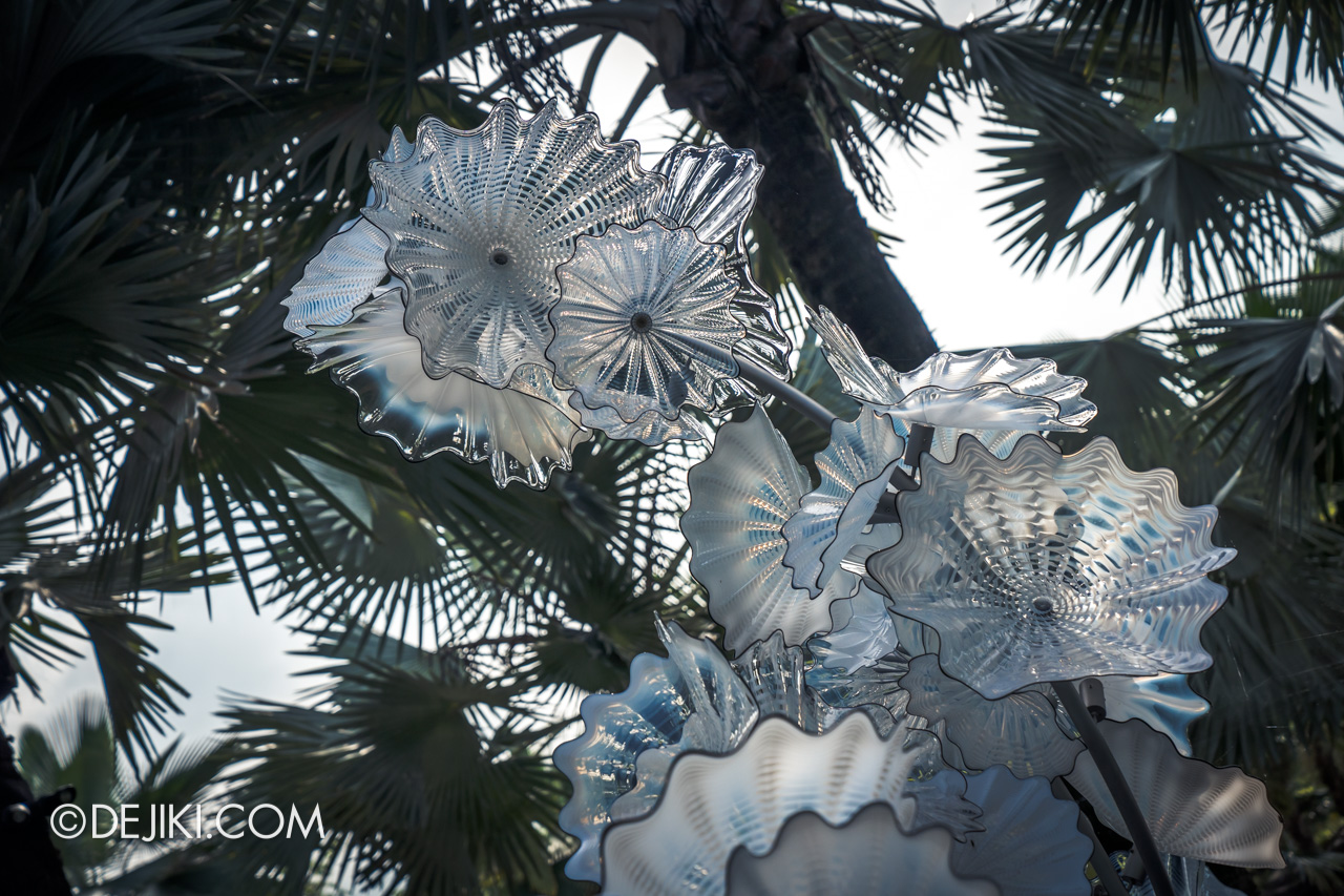 Gardens by the Bay Chihuly in Bloom Outdoor 08 Ethereal White Persians closeup 1