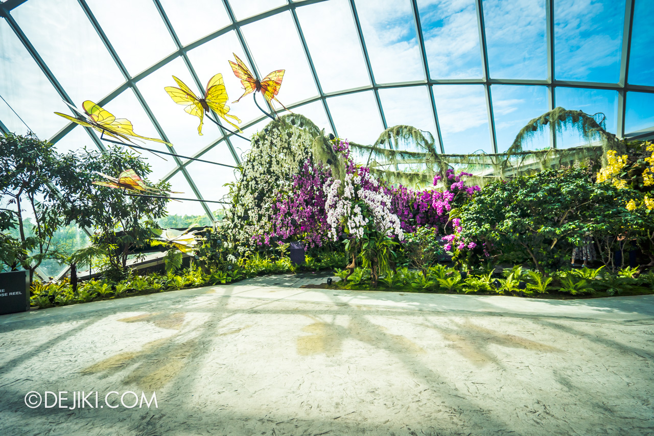 Orchid Haven at Cloud Forest and Gardens by the Bay updates