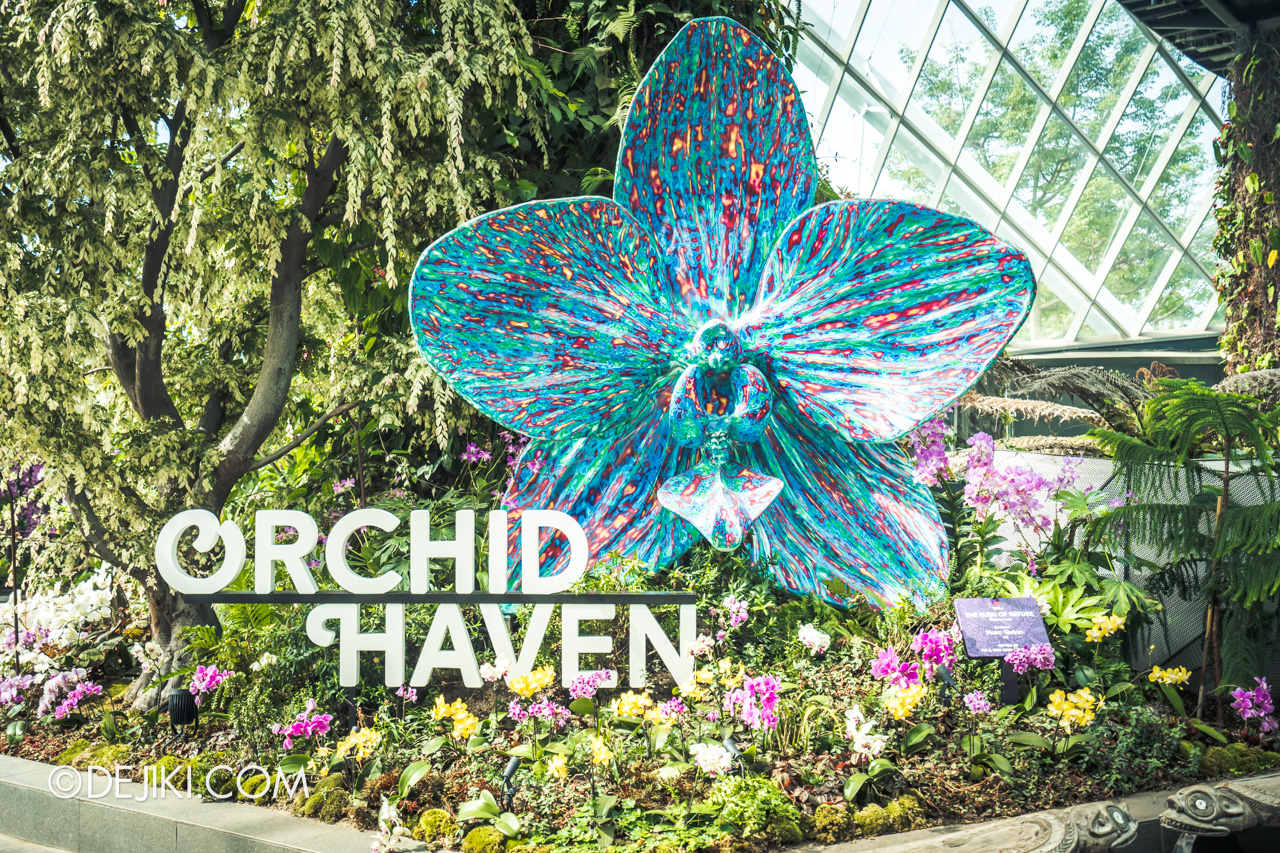 Orchid Haven at Cloud Forest and Gardens by the Bay updates | Dejiki.com