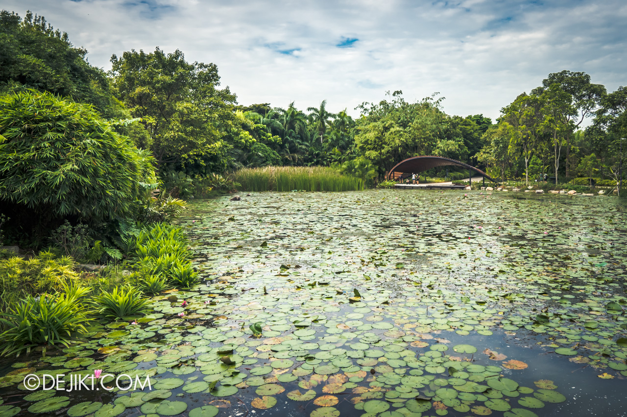 Gardens by the Bay Kingfisher Wetlands Lily Pond