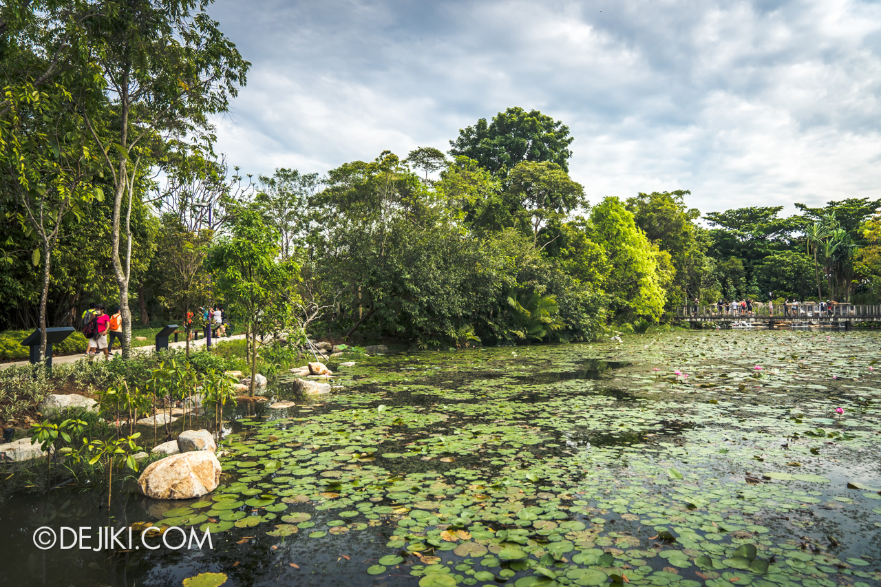 Gardens by the Bay Kingfisher Wetlands Wildlife Lookout View