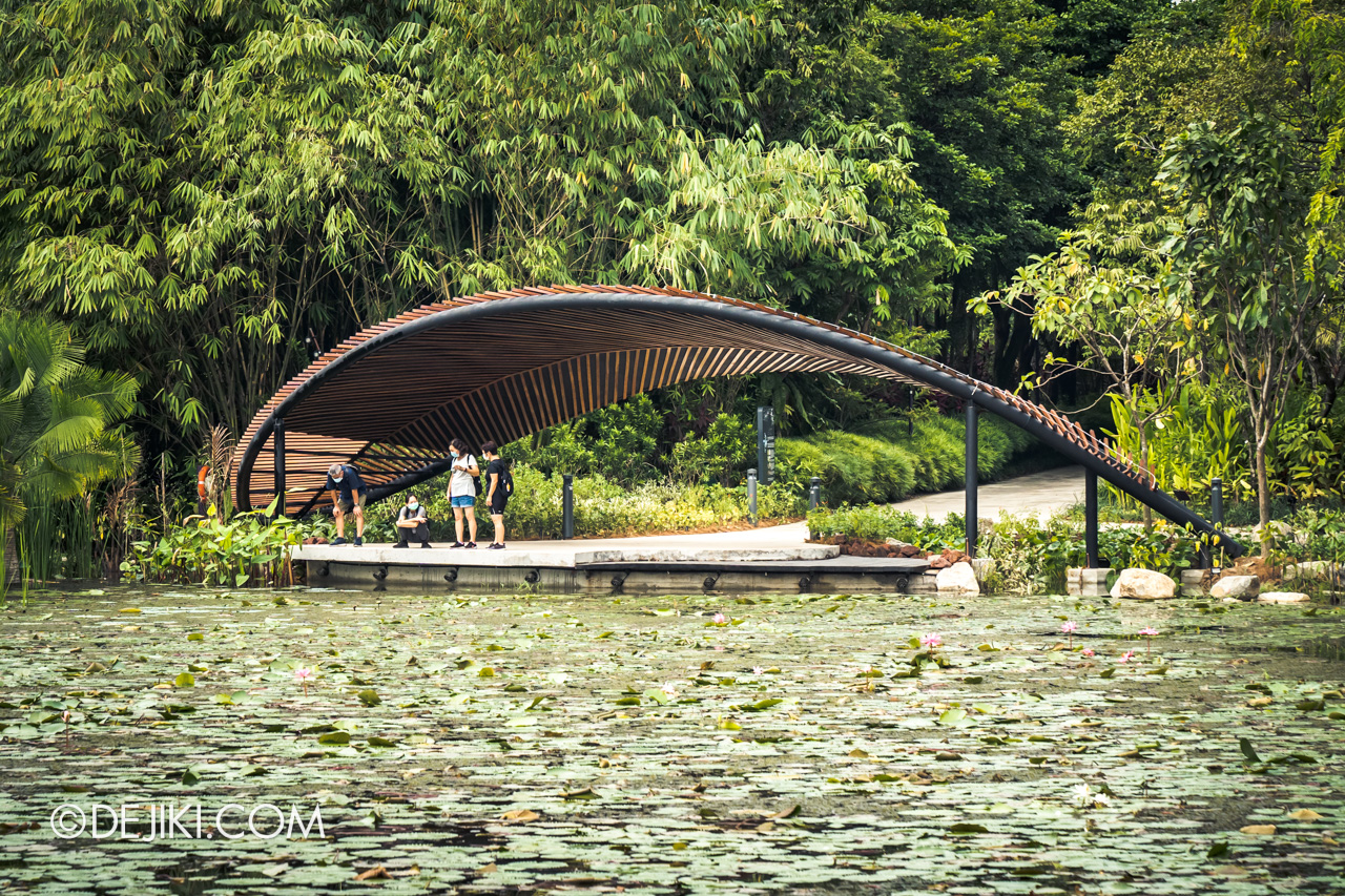 Gardens by the Bay Kingfisher Wetlands Wildlife Lookout