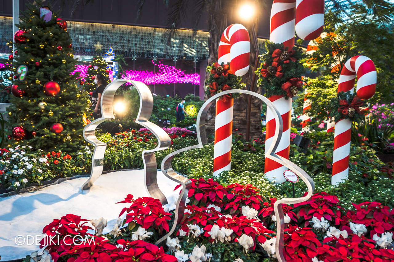 Gardens by the Bay Poinsettia Wishes 2021 Christmas Day Flower Field back row Gingerbread cookie cutter