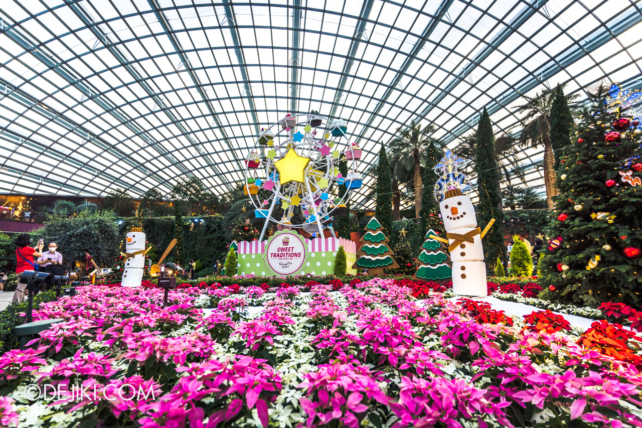 Gardens by the Bay Poinsettia Wishes 2021 Christmas Day Flower Field overview