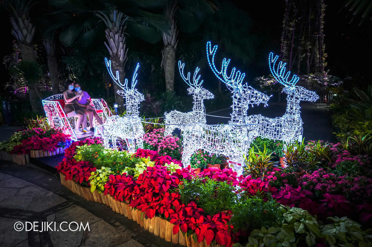Gardens by the Bay Christmas Wonderland 2021 Light Displays Santas Sleigh