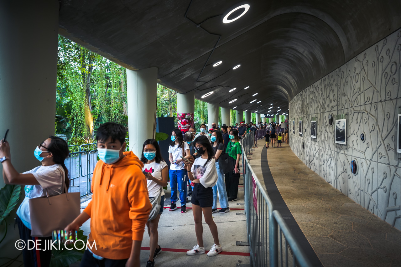 Gardens by the Bay Christmas Wonderland 2021 Queue for Entry Long Lines