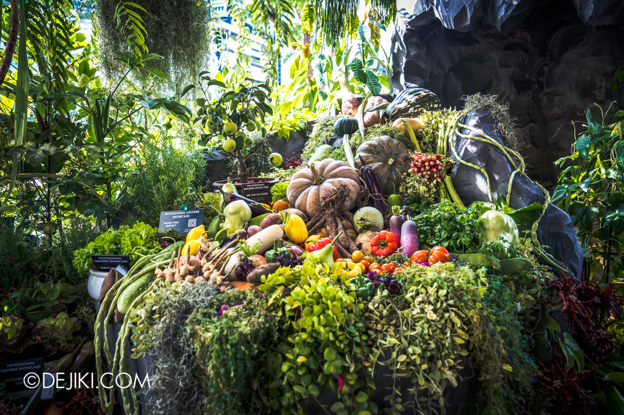 Singapore Garden Festival 2022 at Orchard Road ION Orchard Floral Installation The Cavern of Edibles Wonders Community Garden Edibles Competition 1