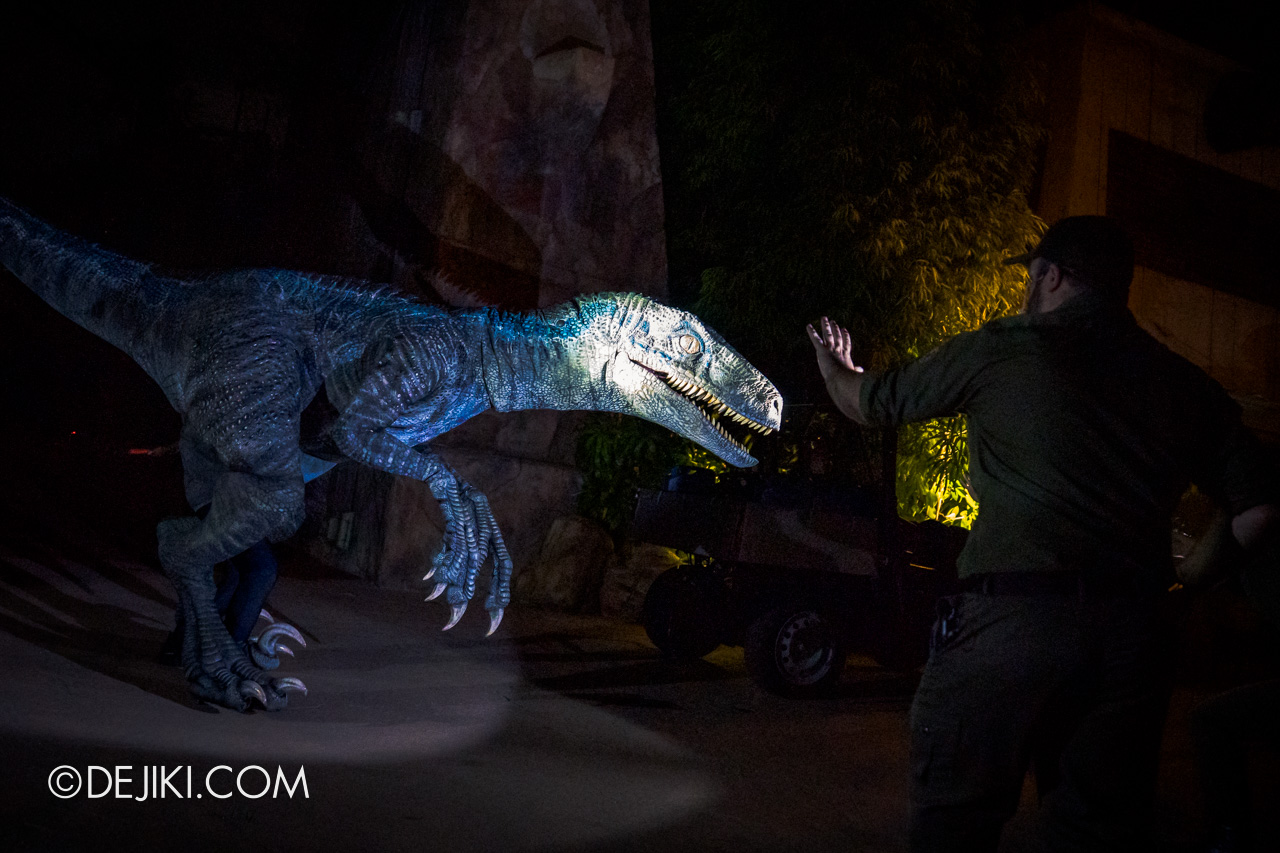USS Jurassic World Dominion Dining Adventure 4 Farewell Presentation 2 Blue Velociraptor escapes flashlight