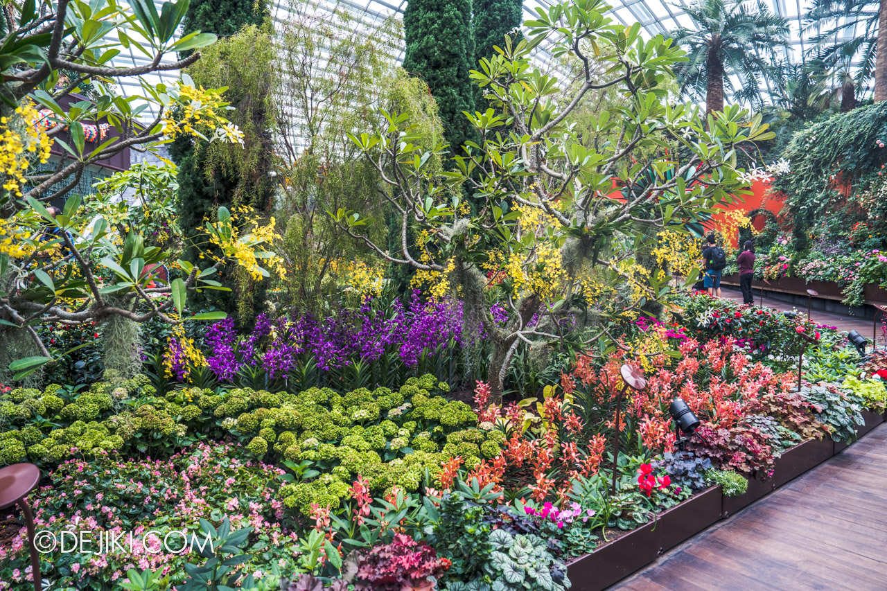 Gardens by the Bay Flower Dome Hanging Gardens Mexican Roots 4 flower field back orchid trees