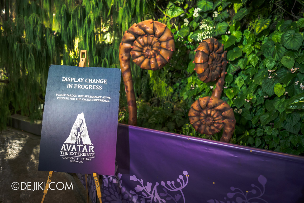Gardens by the Bay Cloud Forest Avatar The Experience Construction Preview The Falls area Fiddlehead Plant notice