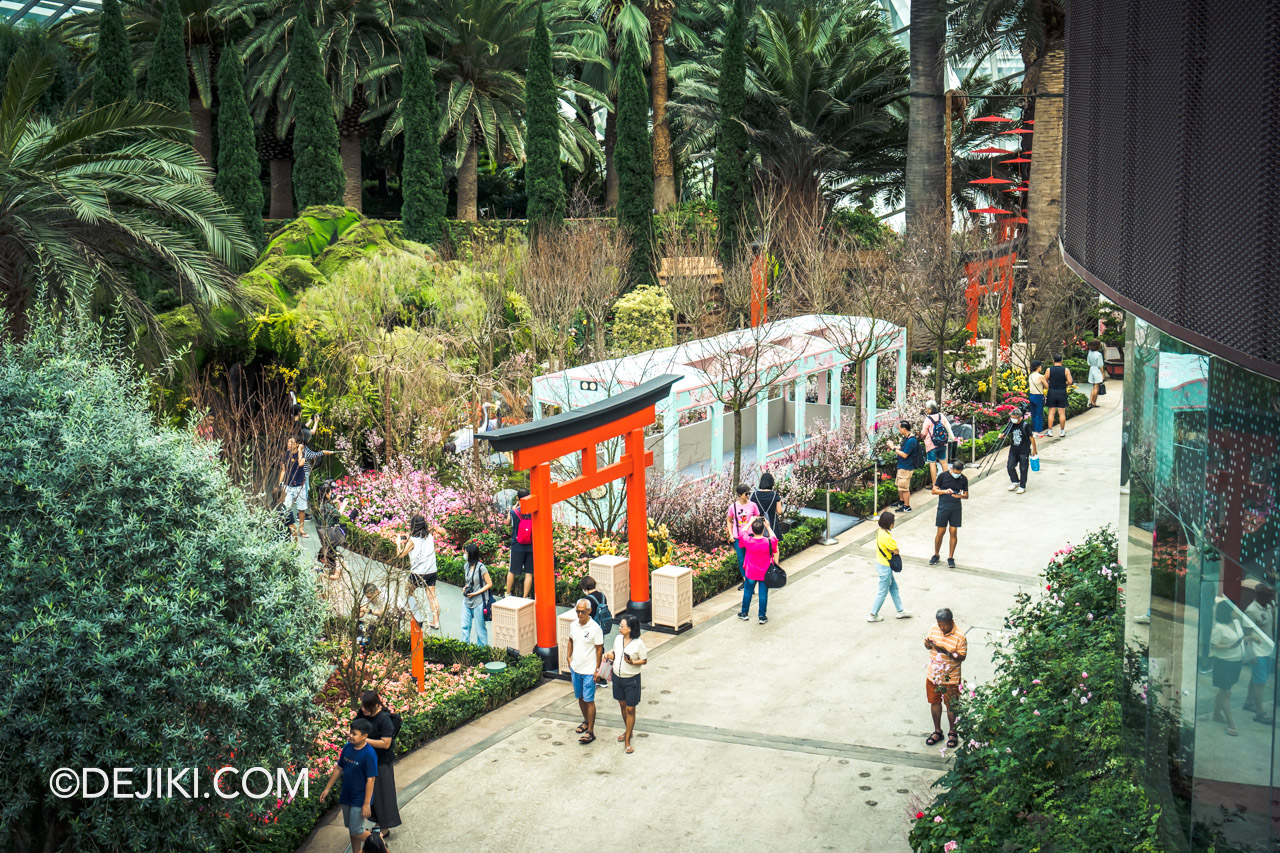 Sakura 2023 at Gardens by the Bay's Flower Dome