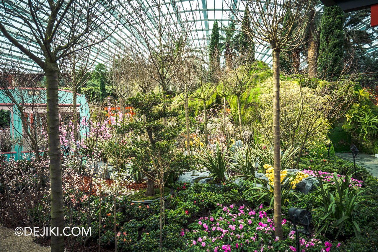 Gardens by the Bay Sakura 2023 Flower Dome 6 Flower Field Japanese Garden