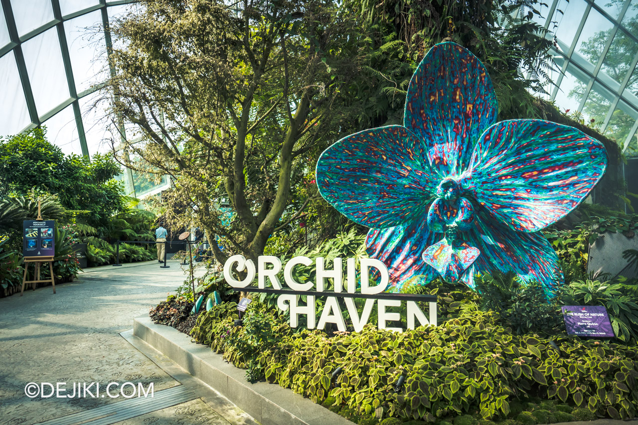 Gardens by the Bay 2023 Cloud Forest Avatar The Experience 2 Orchid Haven