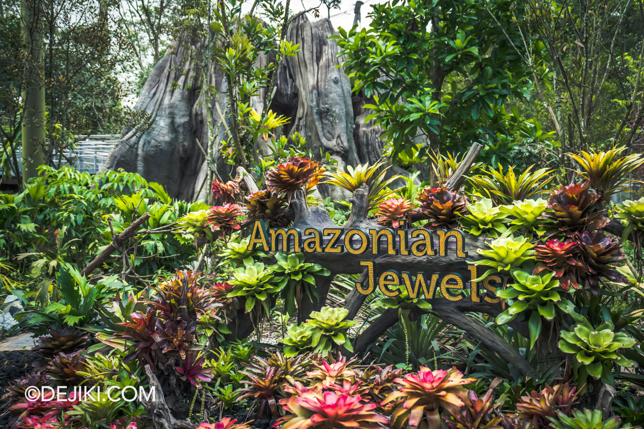 Bird Paradise Singapore Amazonian Jewels entrance