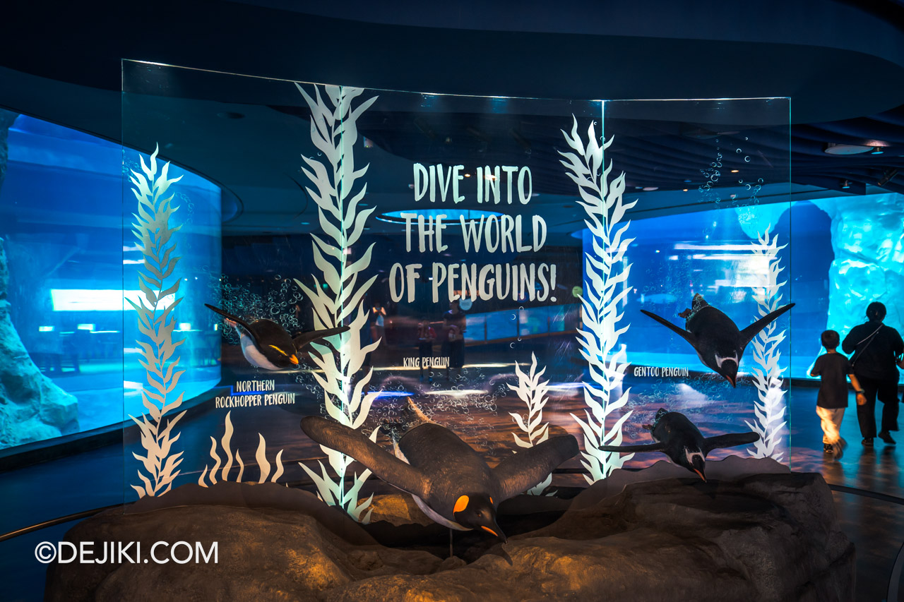 Bird Paradise Singapore Penguin Cove glass wall