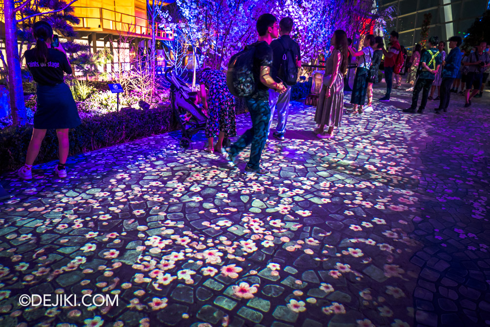 Gardens by the Bay 2024 Sakura floral display blossom into the night night floor projections 2 purple kinkaku ji temple floor blossoms