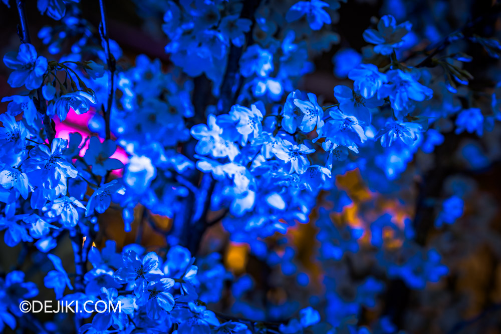 Gardens by the Bay 2024 Sakura floral display blossom into the night night view cherry blossoms blue light
