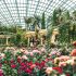 Gardens by the Bay 2024 Rose Romance floral display sq2