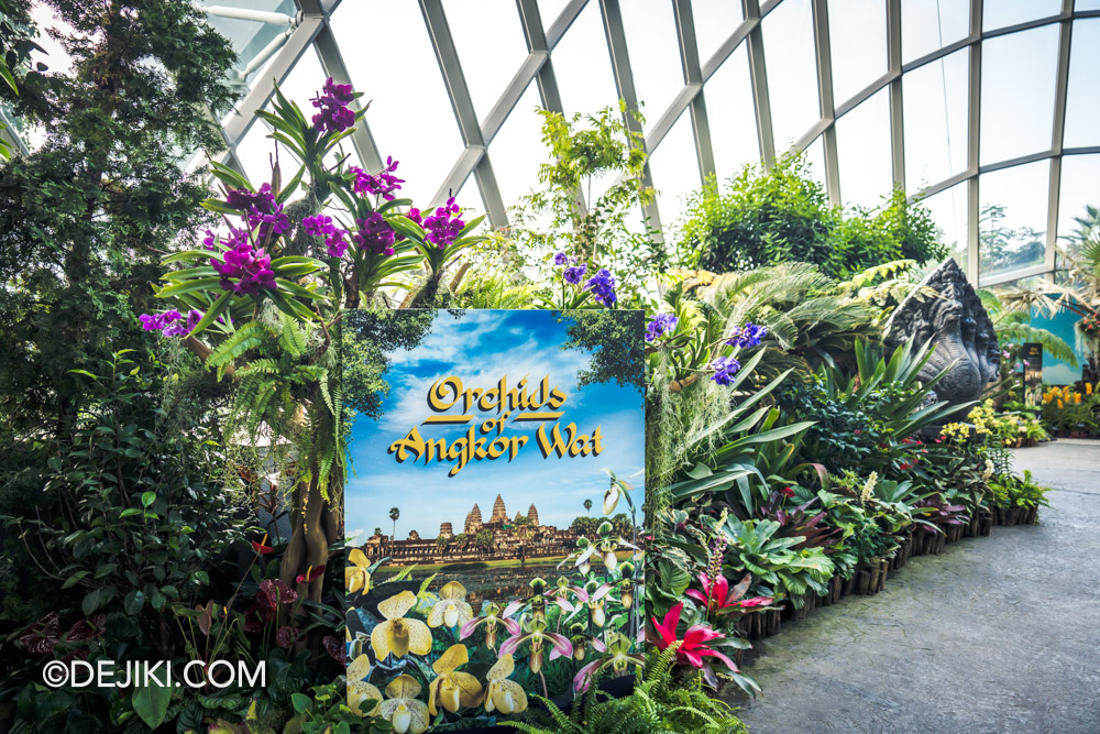 Gardens by the Bay Cloud Forest Orchid Haven 2024 Orchids of Angkor Wat overview
