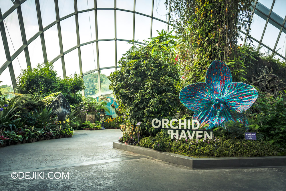 Gardens by the Bay Cloud Forest Orchid Haven 2024 overview