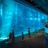 RWS SEA Aquarium Aug 2024 Update sq