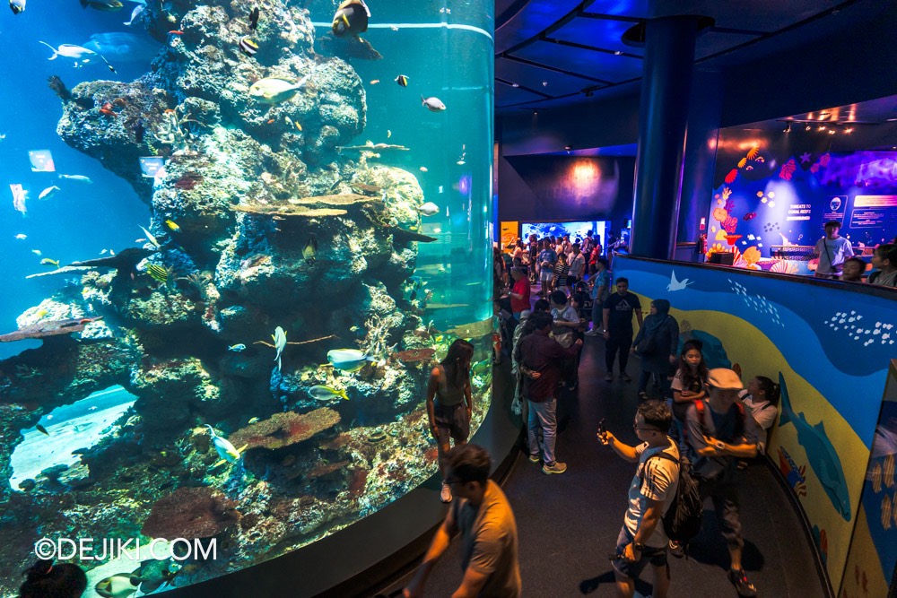 SEA Aquarium at Resorts World Sentosa 2024 11 Underwater City with Coral Tank