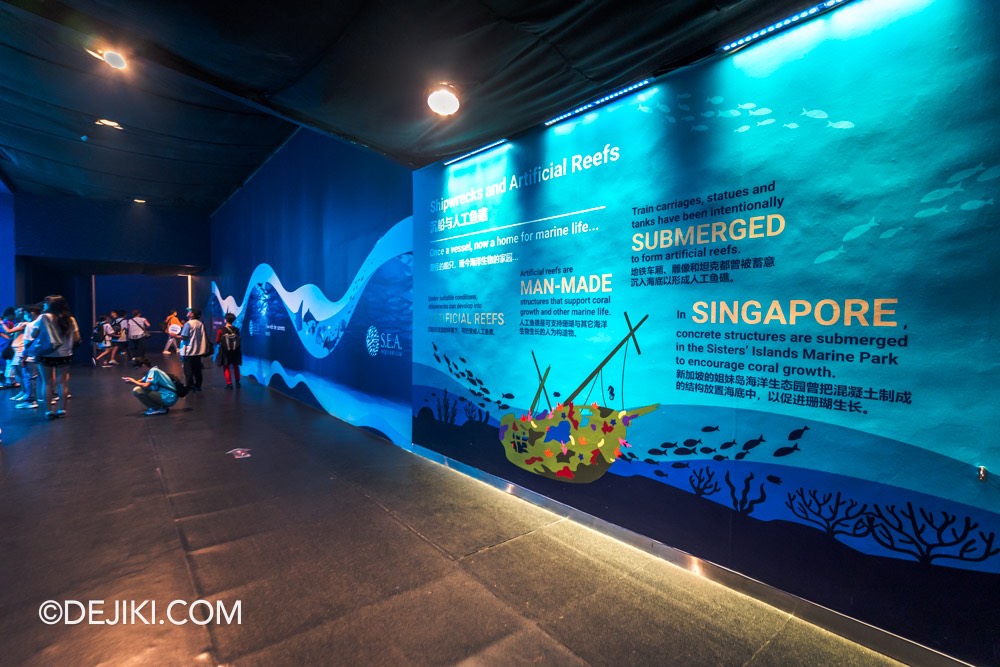 SEA Aquarium at Resorts World Sentosa 2024 14 Shipwrecked Mural