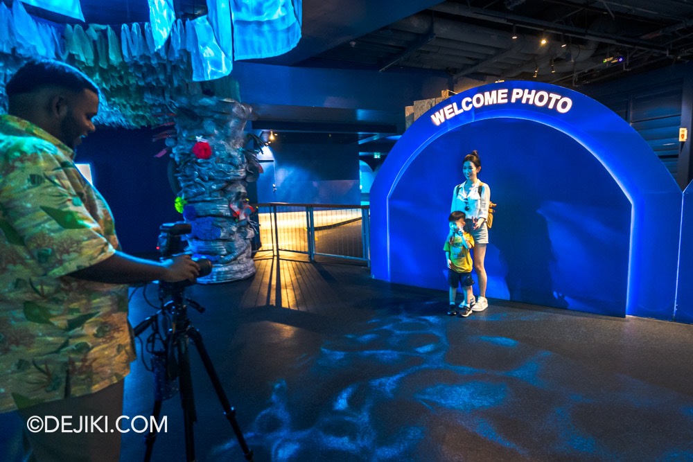 SEA Aquarium at Resorts World Sentosa 2024 4 School of Fish Photo Photo Wall